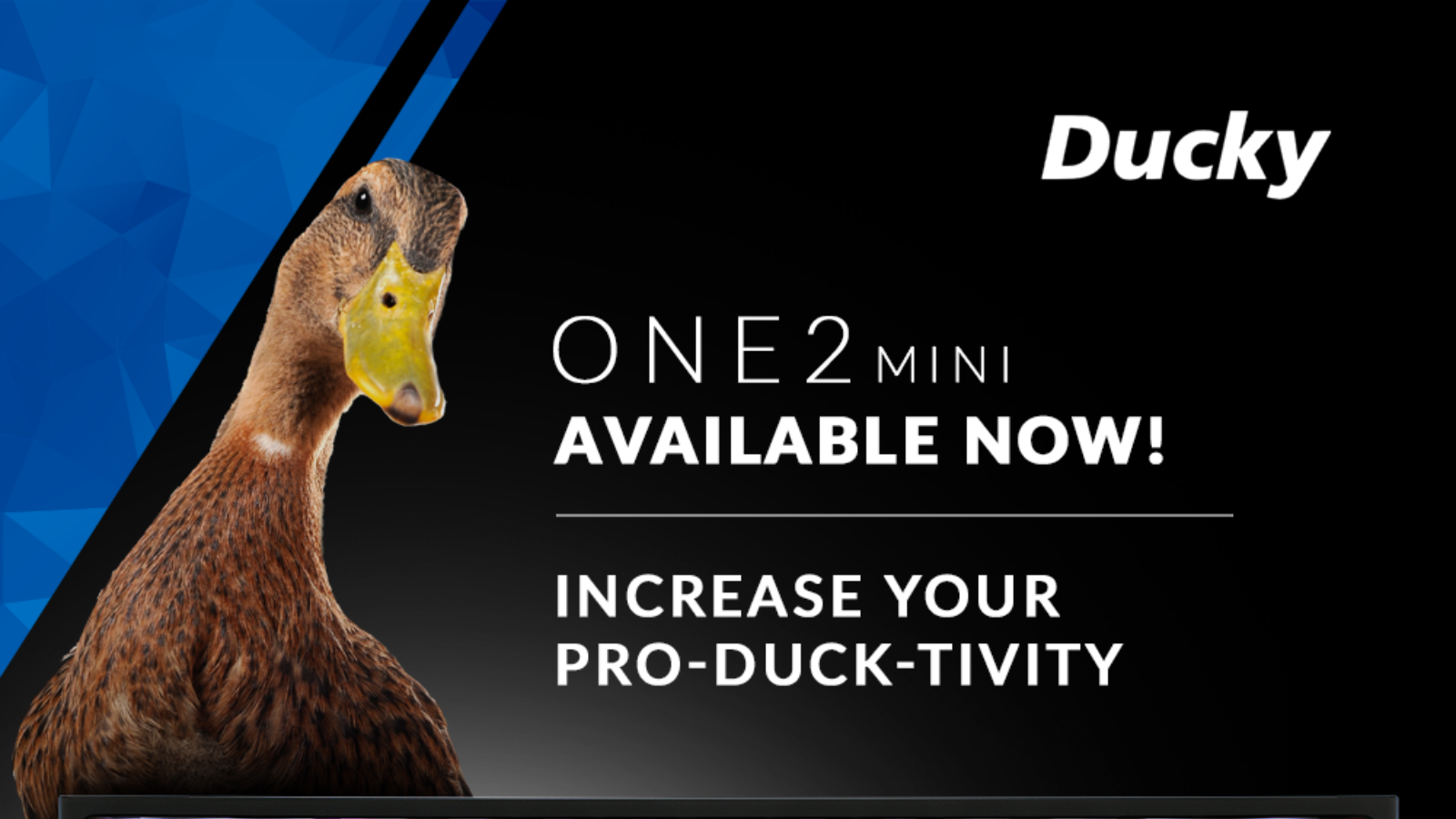 Ducky One 2 Mini