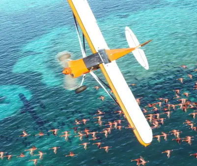 Microsoft Flight Simulator gameplay