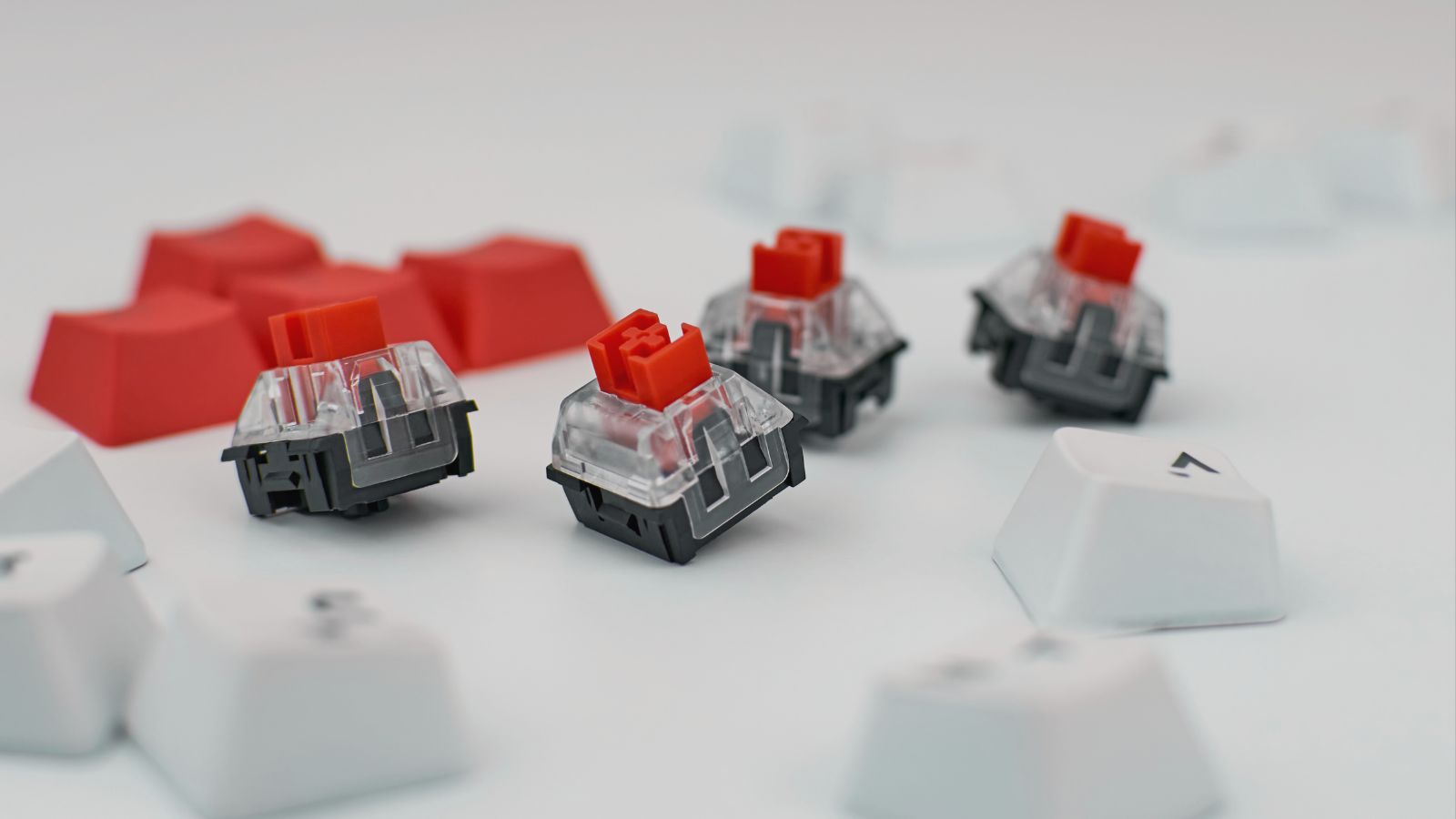 Cherry MX Switches Explained: Everything You Need to Know!