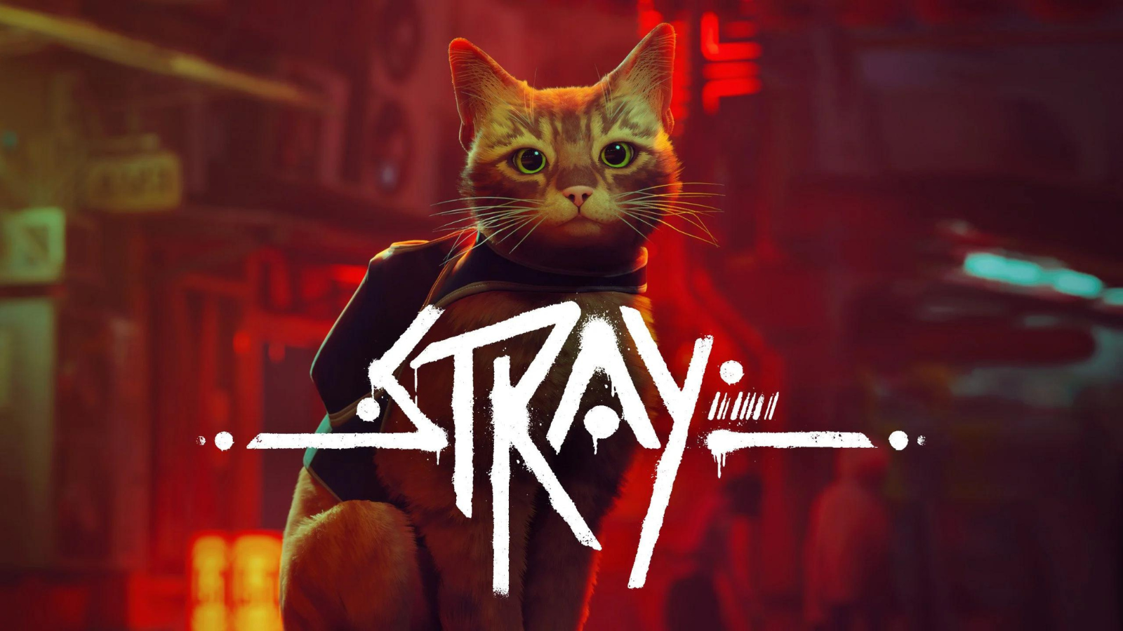 Play Our New Obsession This Weekend: Stray! 