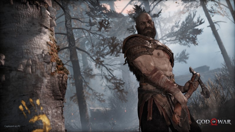God of War forest combat from Steam