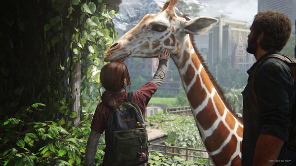 The Last of Us Part One screen grab from Steam giraffe