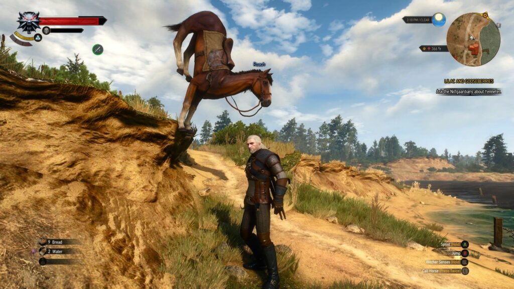 The Witcher 3 Roach bug