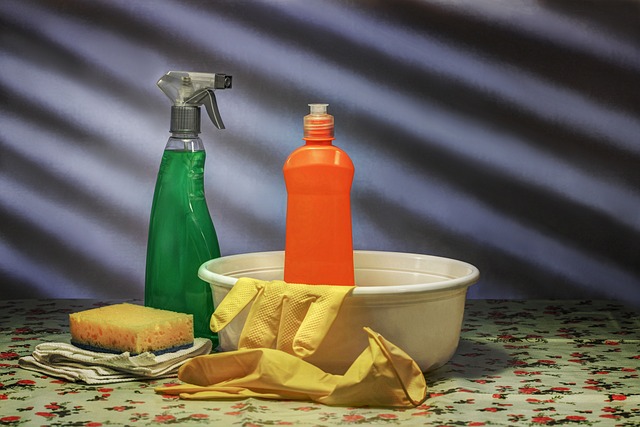 Cleaning supplies
Imge from Pixabay