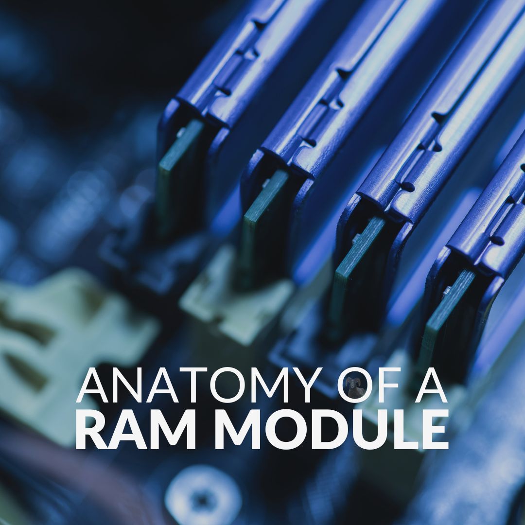 Anatomy of a RAM Module