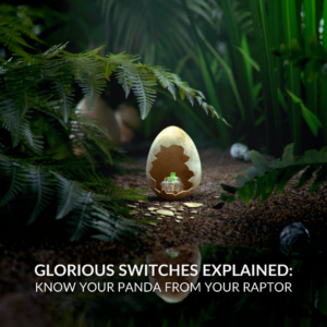 Glorious Switches Explained: Know Your Panda From Your Raptor