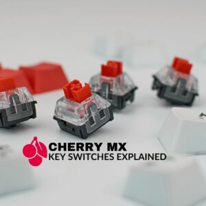 Cherry MX Switches Explained: Everything You Need to Know! 