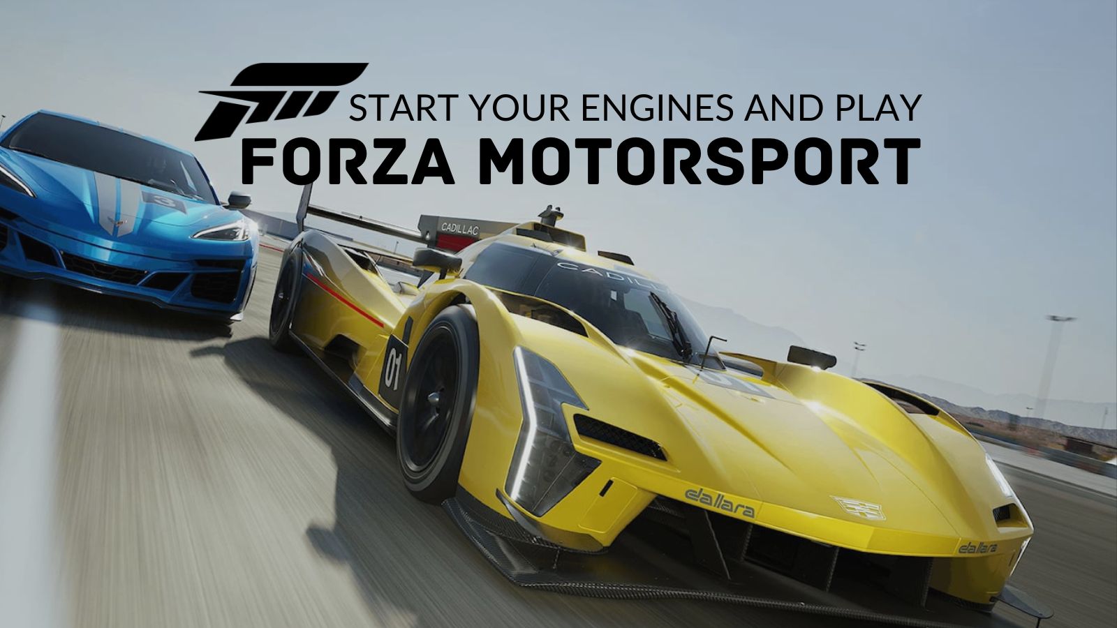 Feel the Road Beneath Your Wheels in Forza Motorsport with