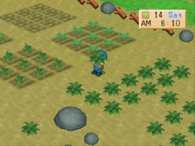 Harvest Moon: Back to Nature gameplay still